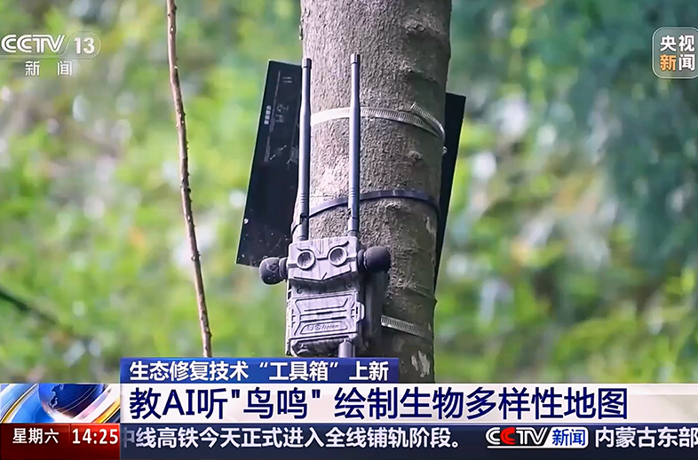 優威視訊智能聲紋監測儀助力南嶺國家公園候選區智慧聲紋監測工程建設，AI“聽懂”鳥鳴獲央視《新聞直播間》報道
